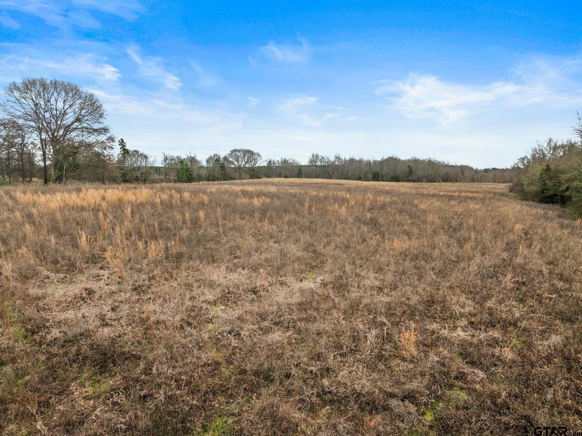 51 acres in Camp County - photo 13