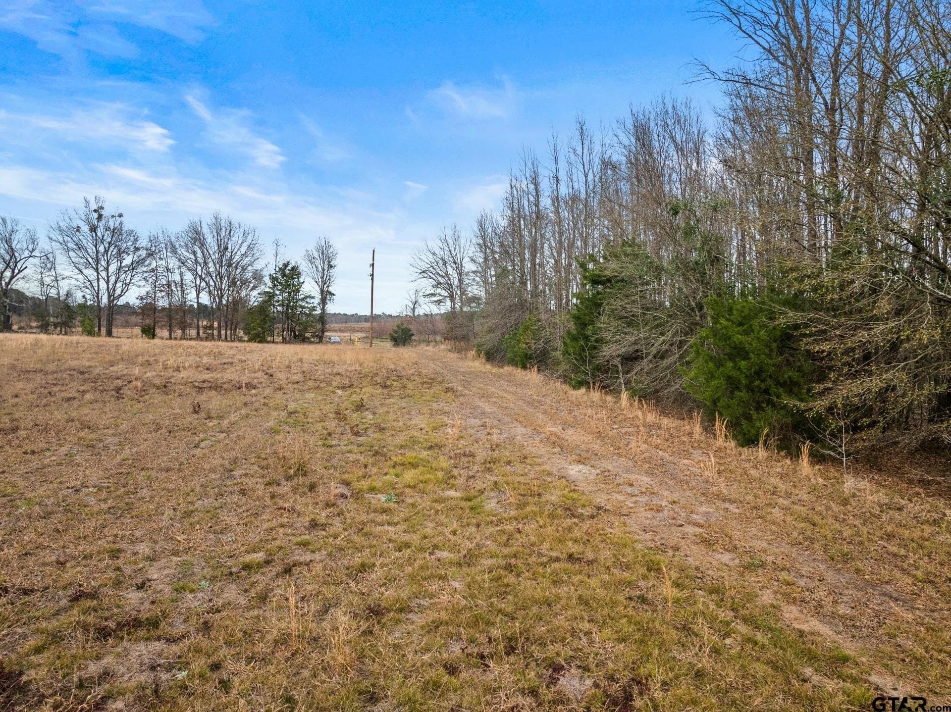 51 acres in Camp County - photo 7
