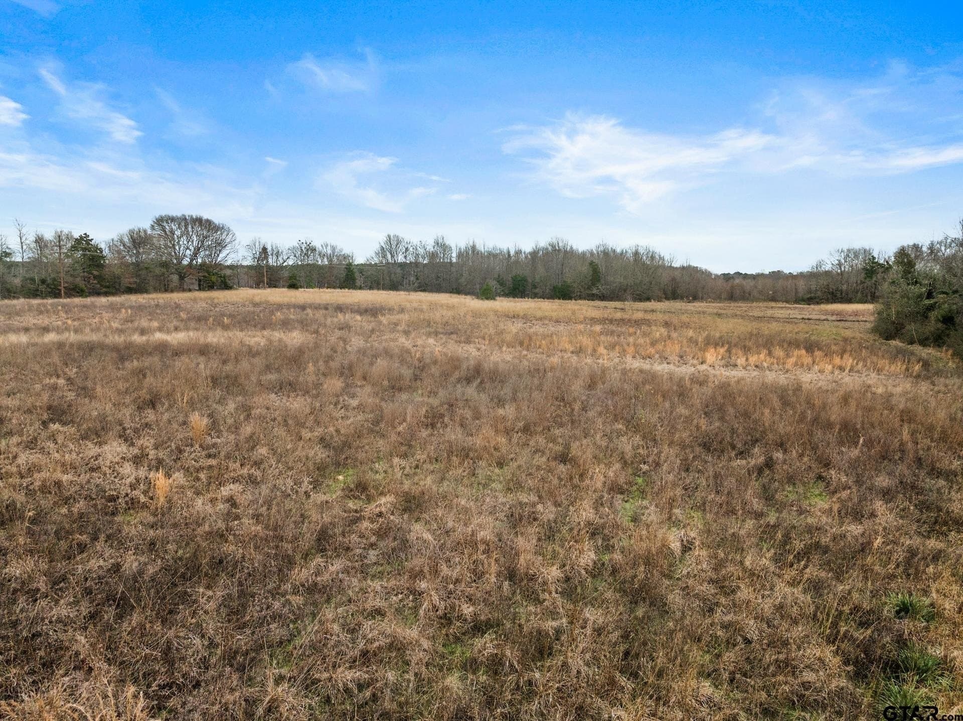 51 acres in Camp County - photo 12