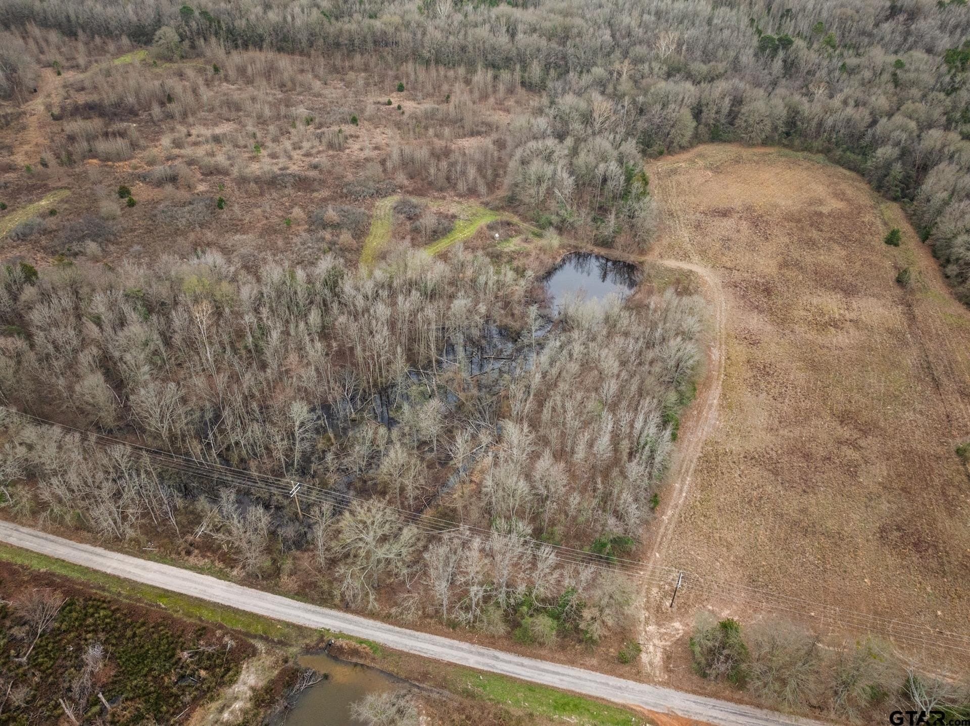 51 acres in Camp County - photo 9