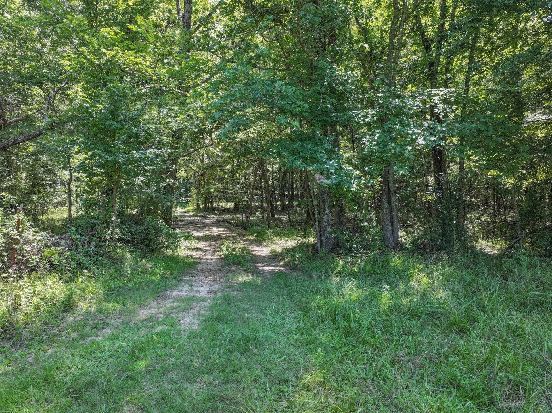 77 acres in Bowie County - photo 6