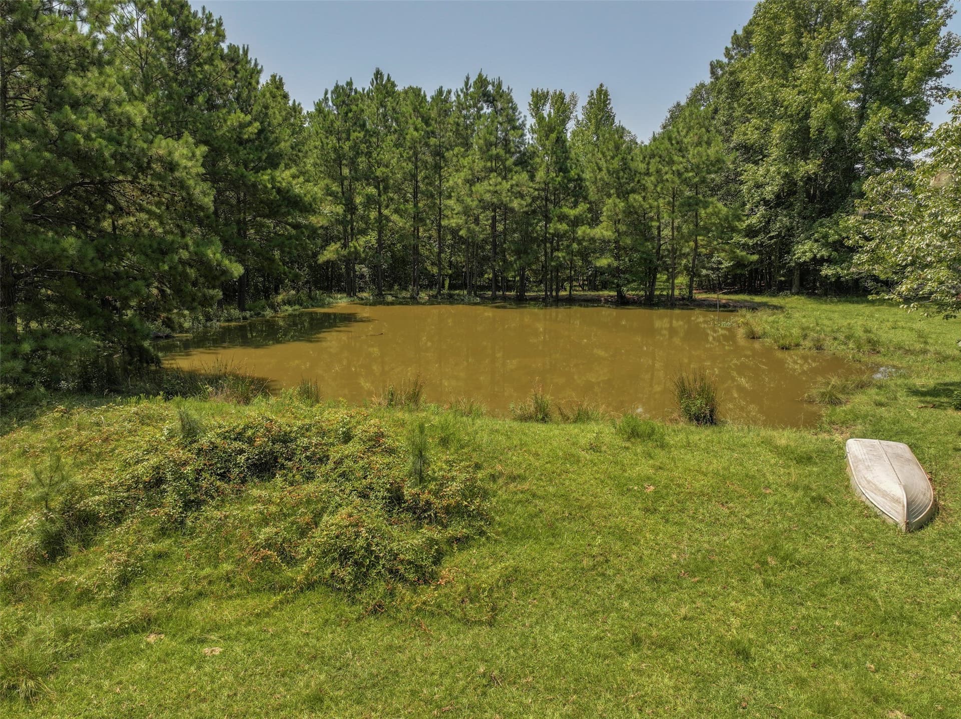 77 acres in Bowie County - photo 4