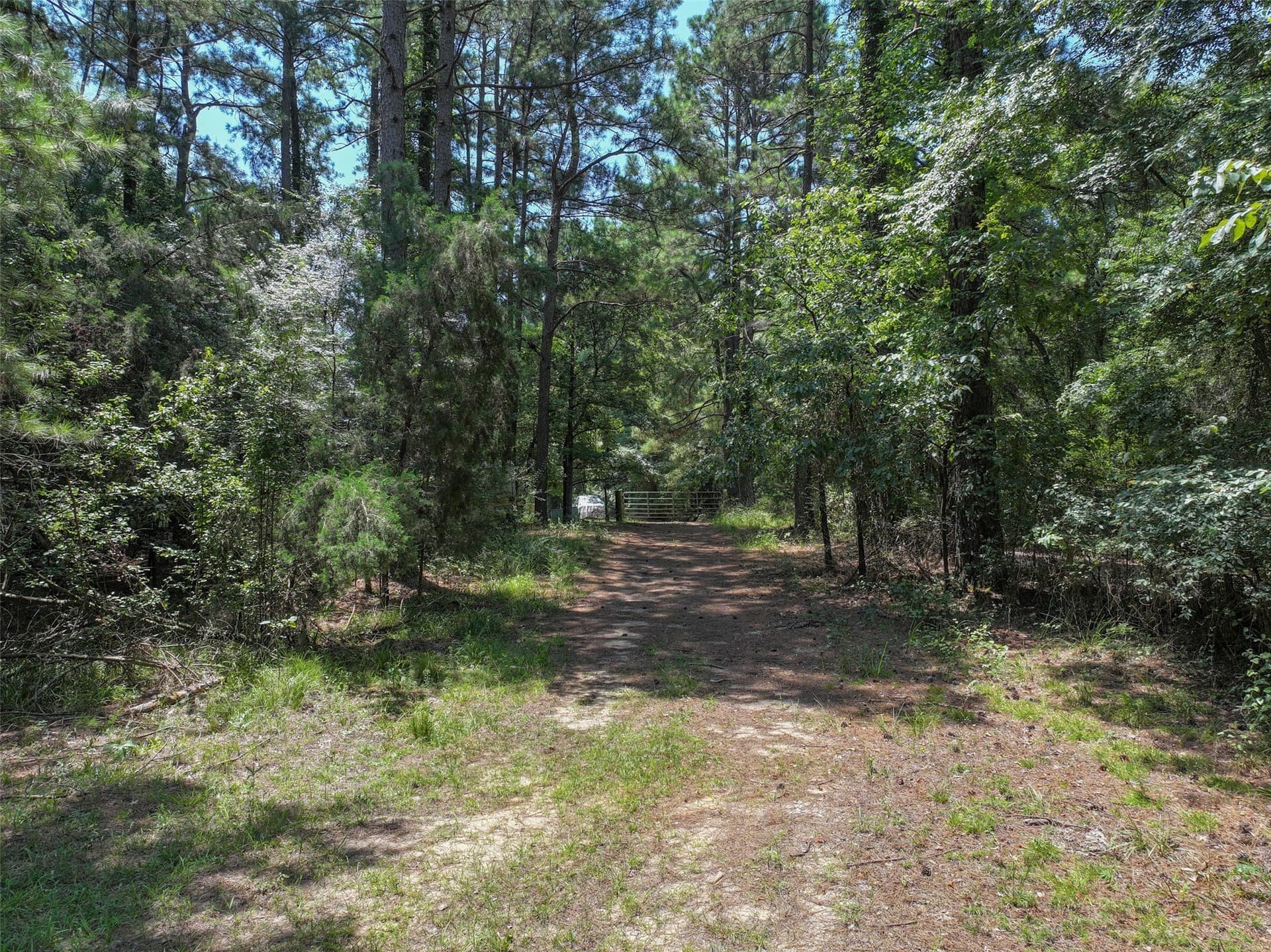 77 acres in Bowie County - photo 23