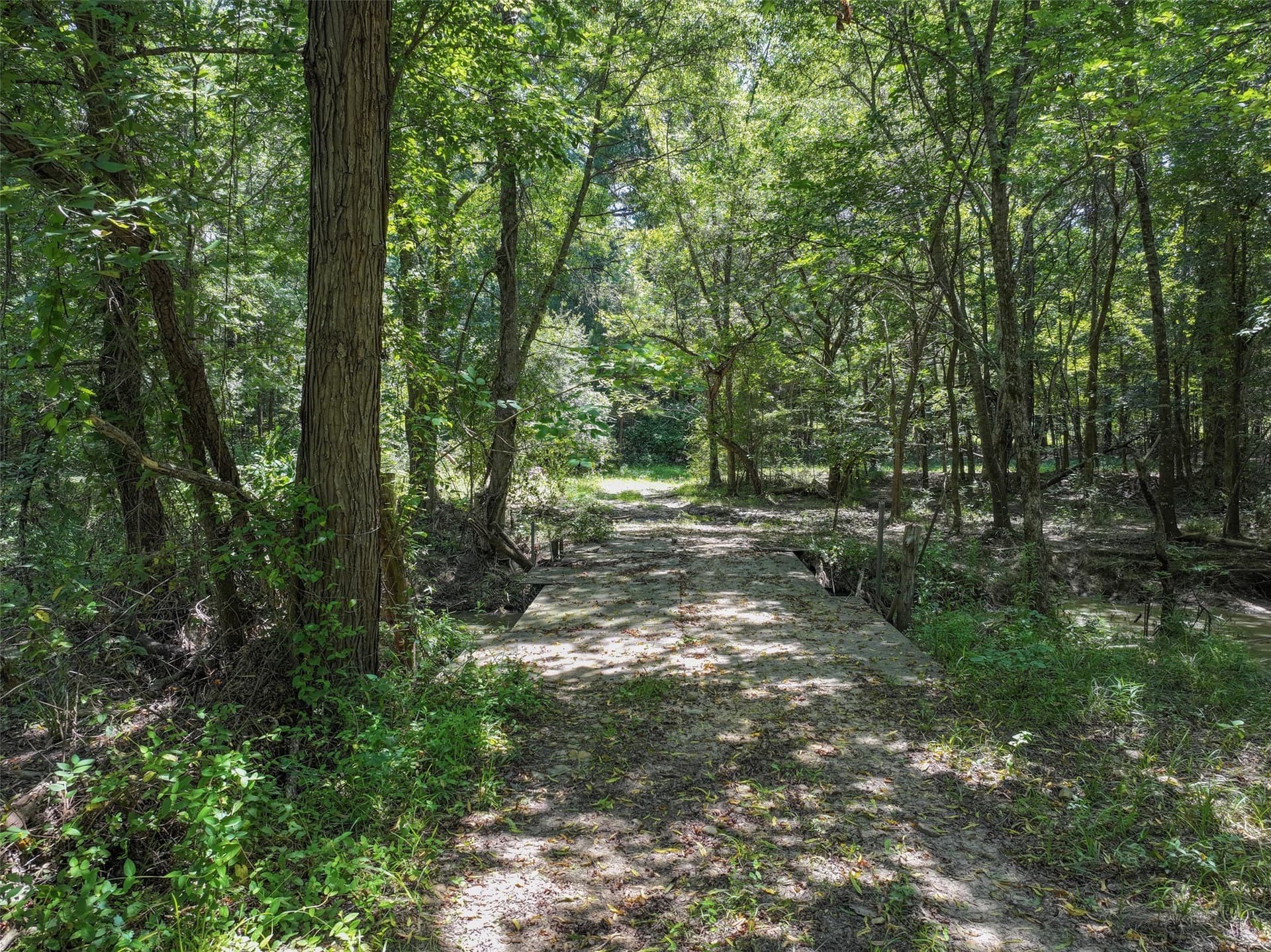 77 acres in Bowie County - photo 7