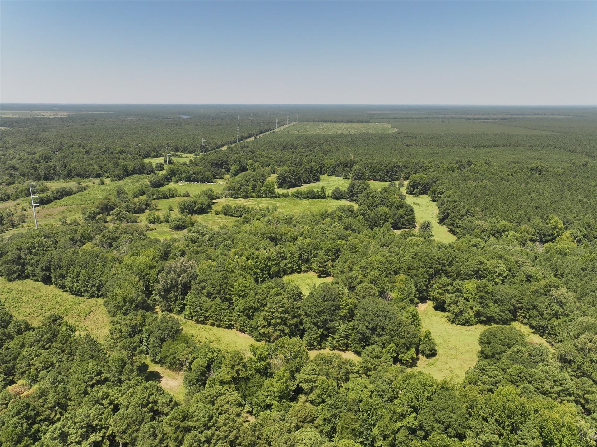 77 acres in Bowie County - photo 40