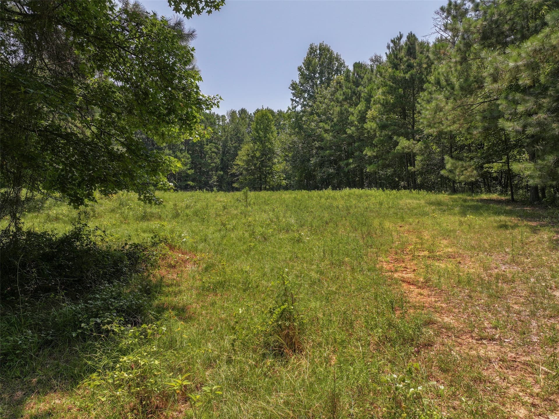 77 acres in Bowie County - photo 11