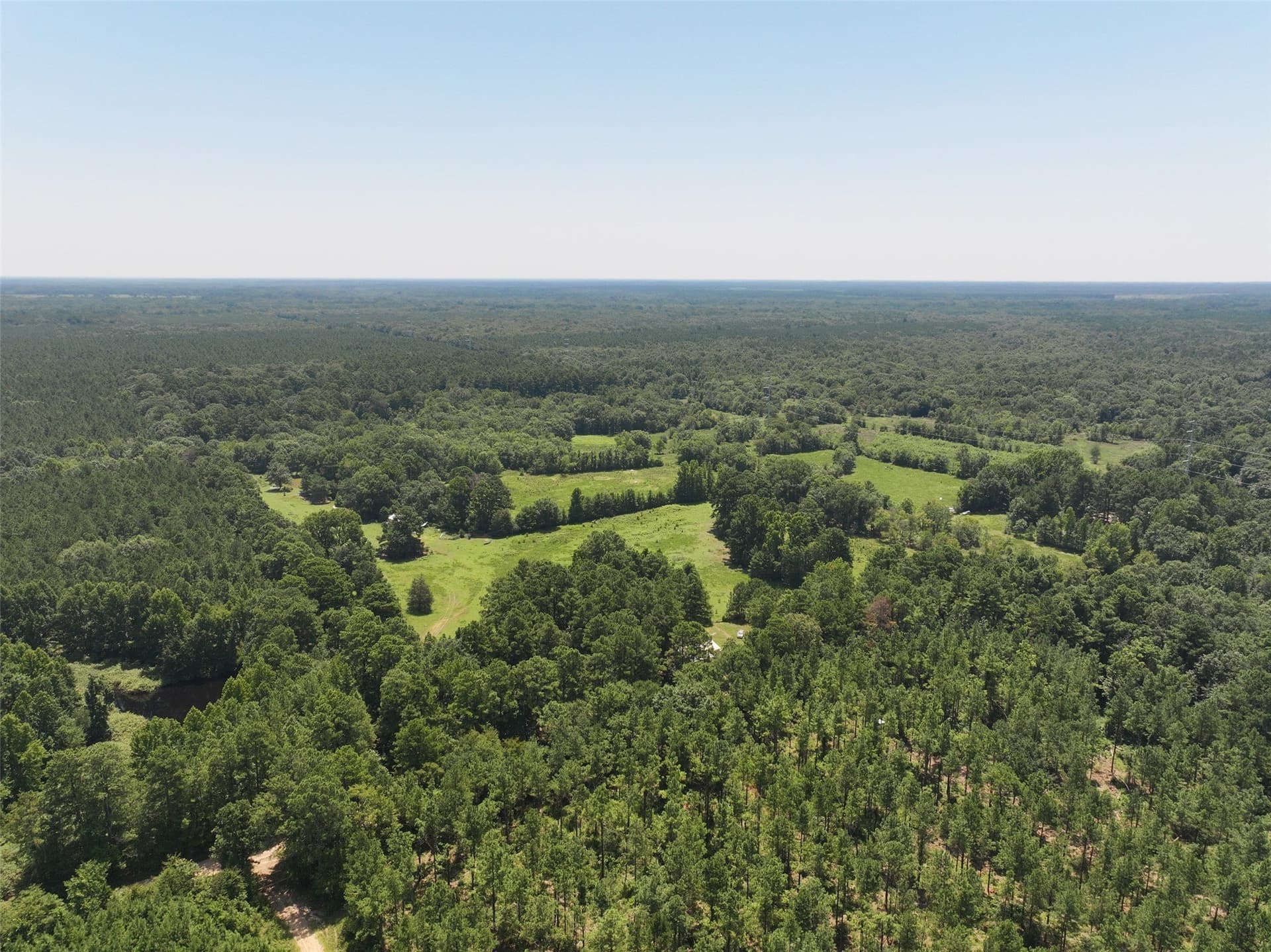 77 acres in Bowie County - photo 21