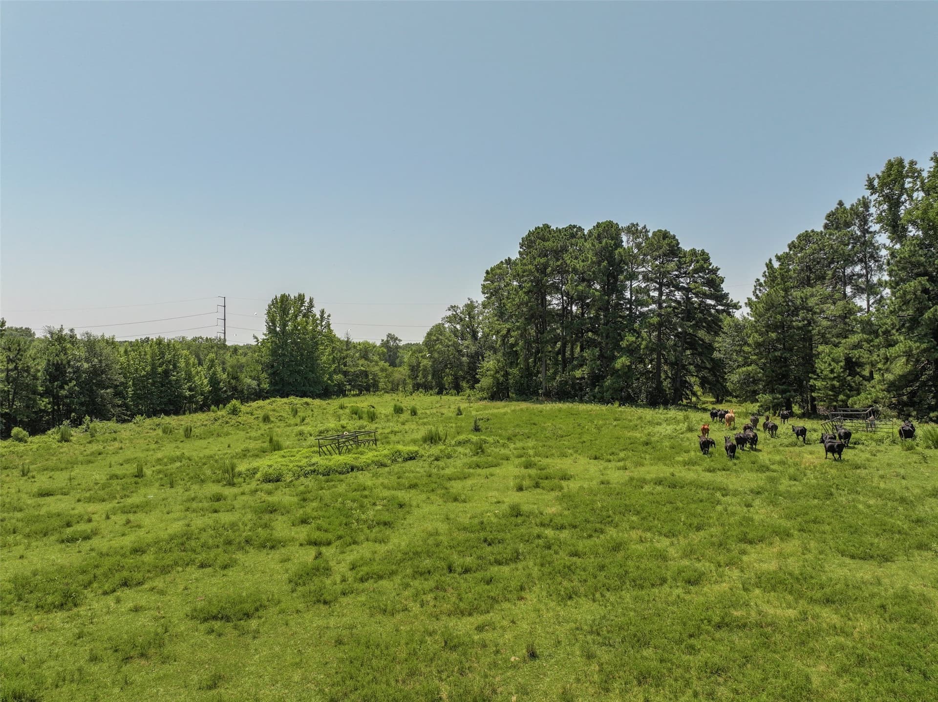 77 acres in Bowie County - photo 20