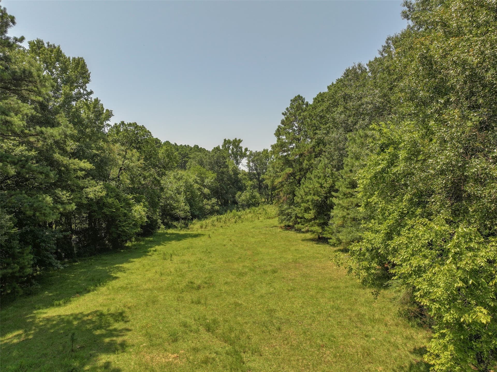77 acres in Bowie County - photo 14