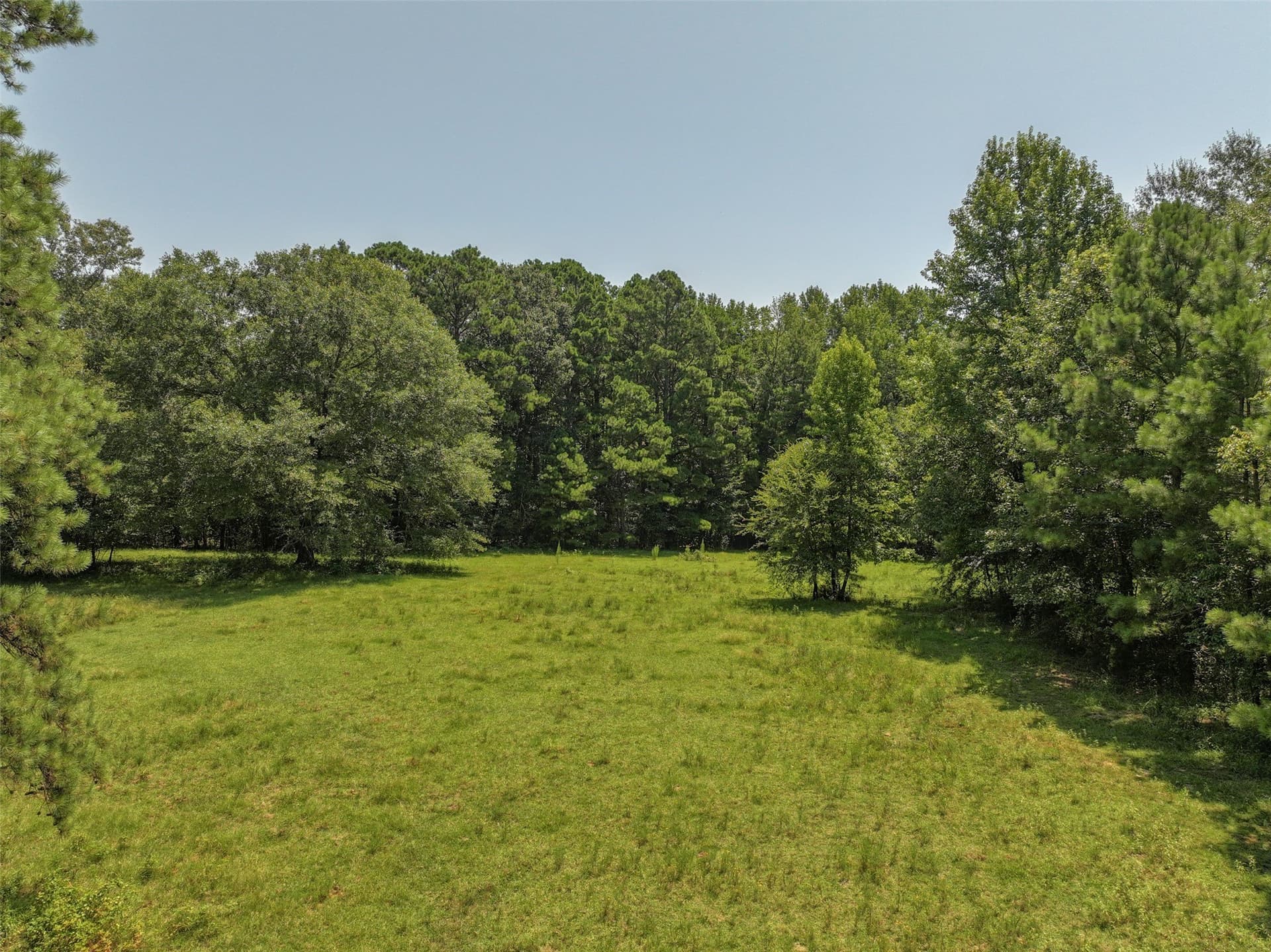 77 acres in Bowie County - photo 12
