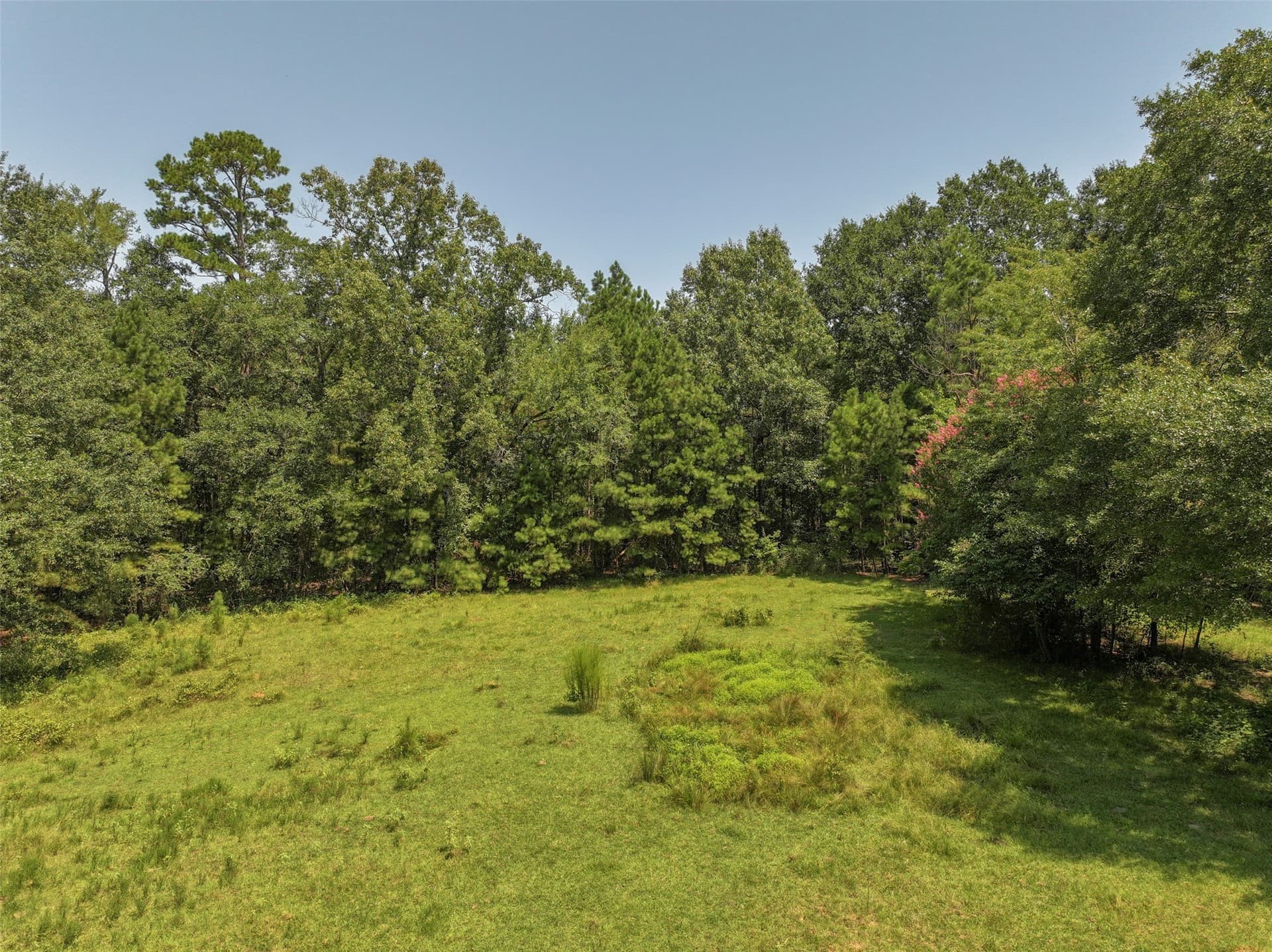 77 acres in Bowie County - photo 13