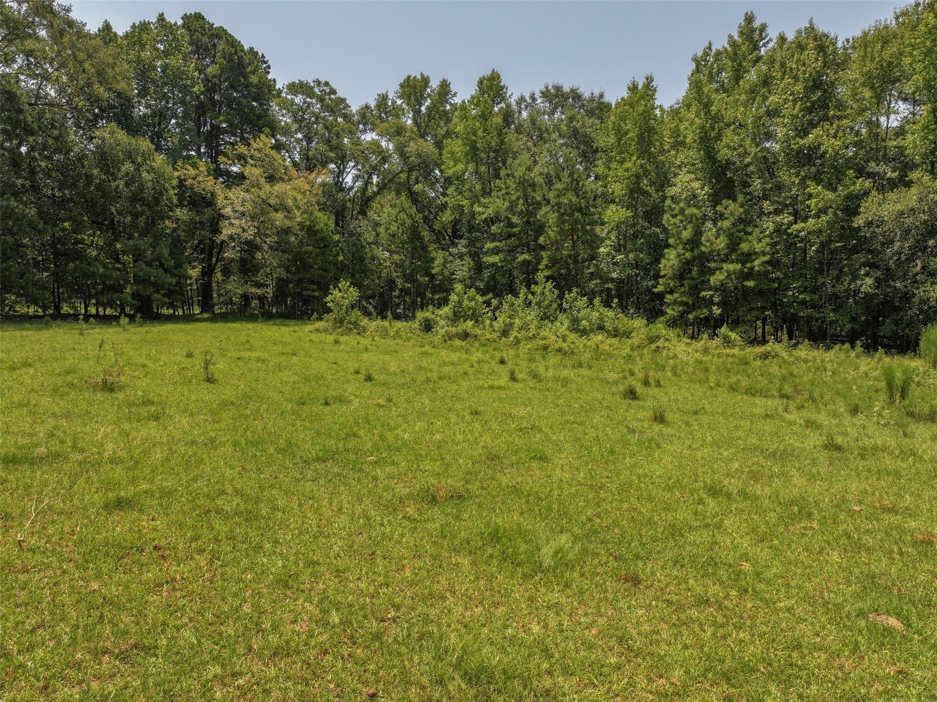 77 acres in Bowie County - photo 16