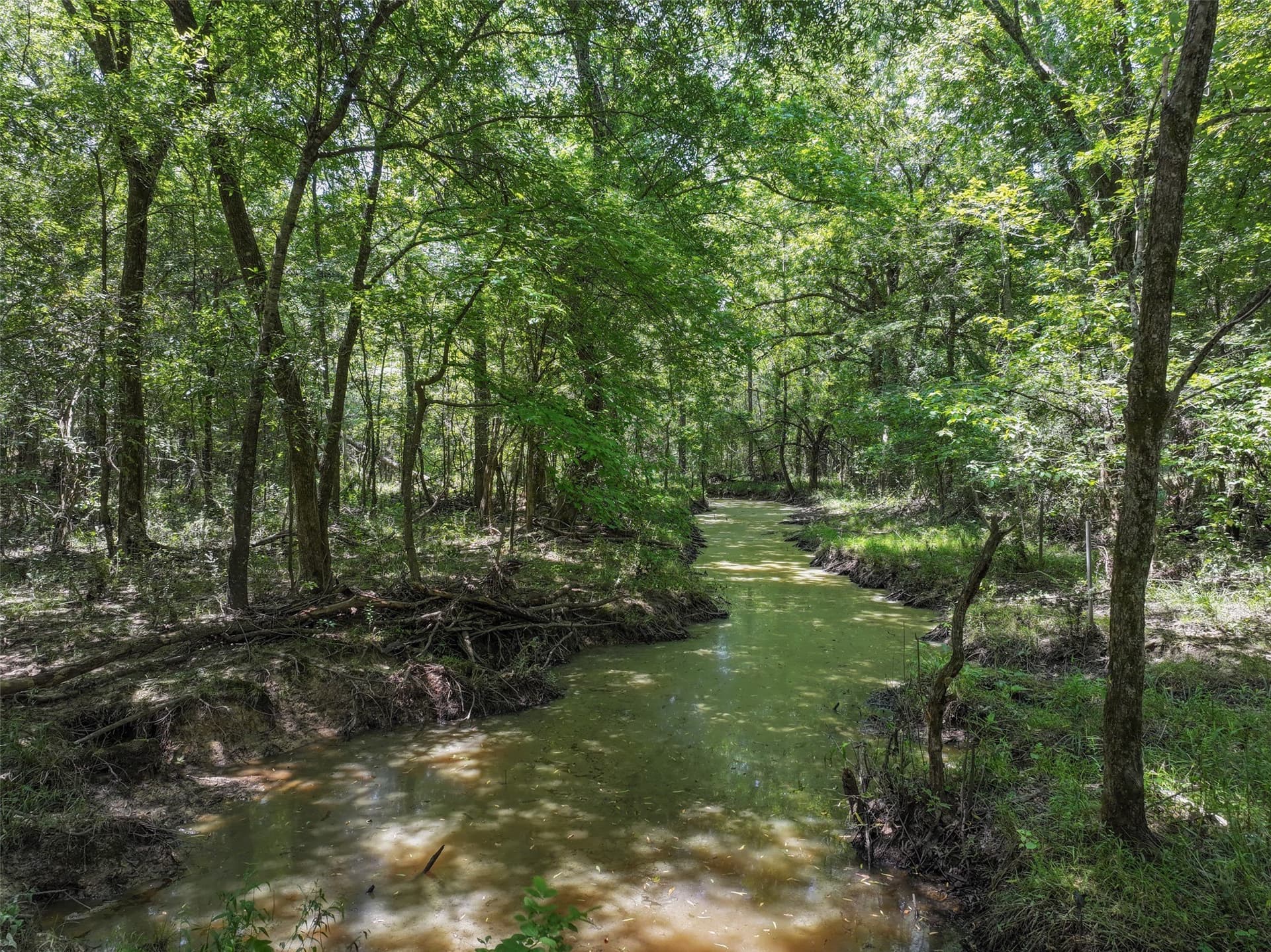 77 acres in Bowie County - photo 8