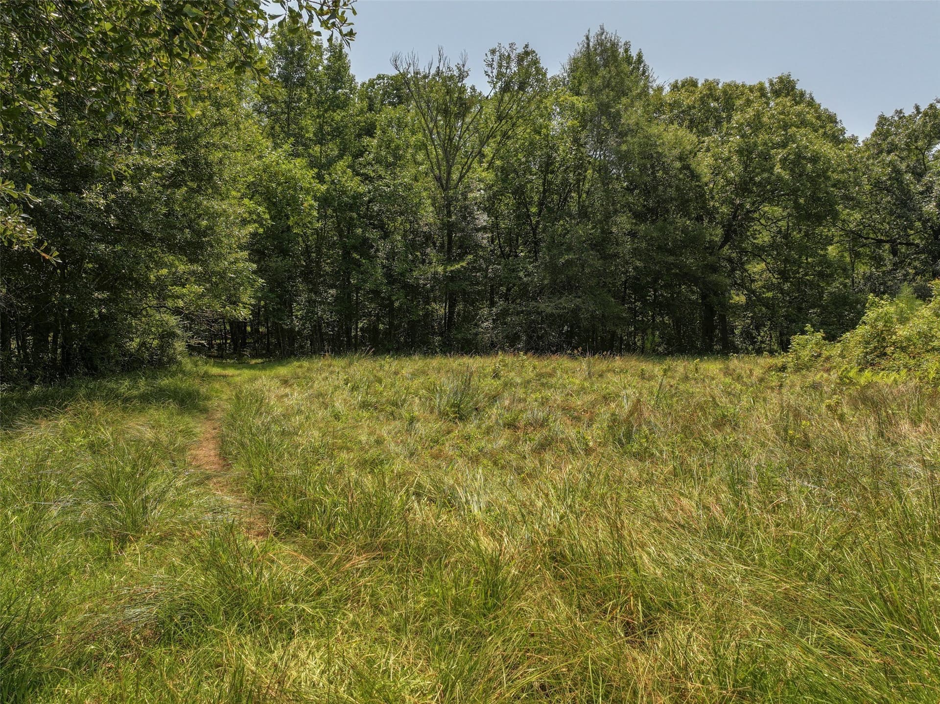 77 acres in Bowie County - photo 5