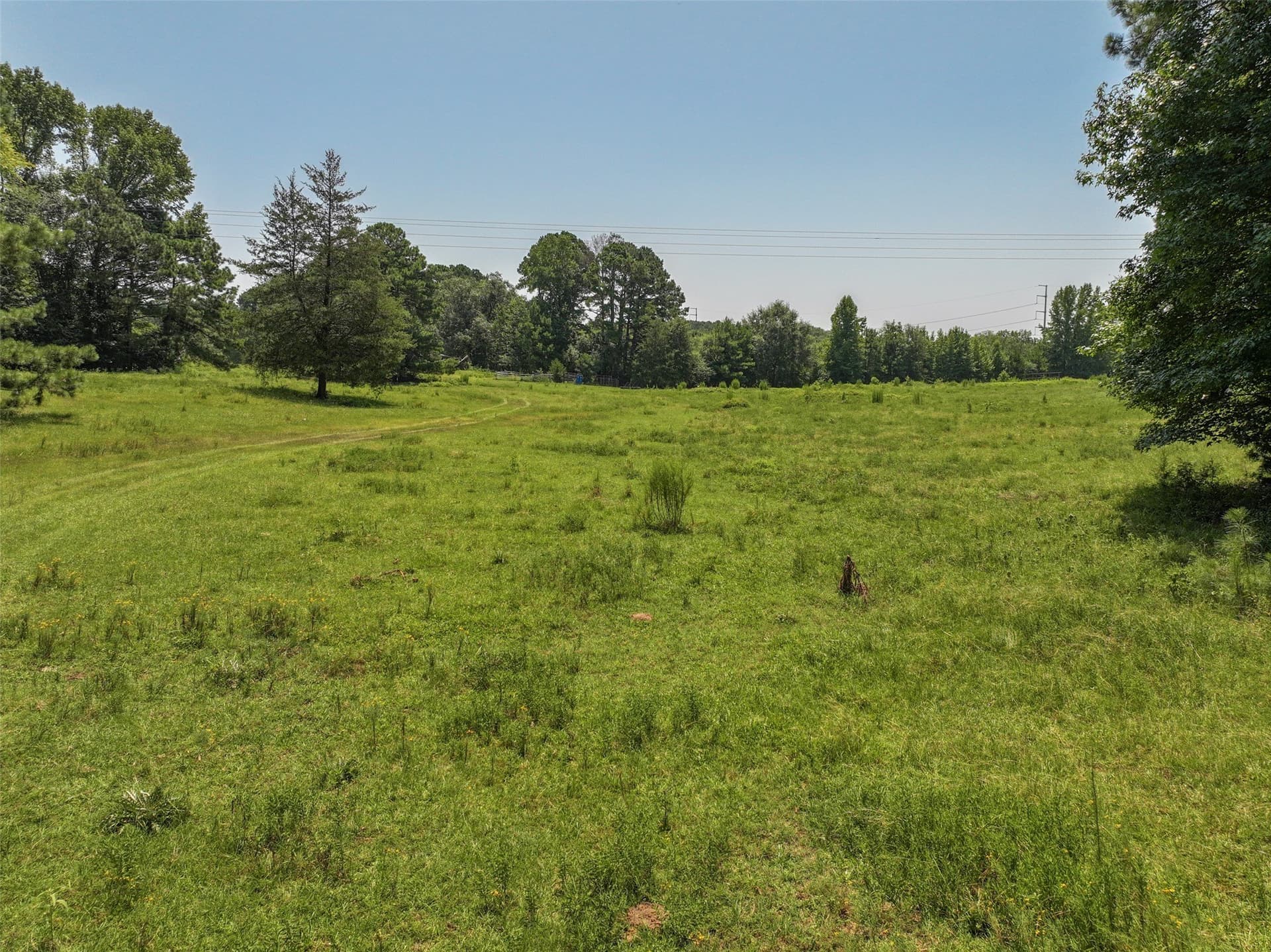 77 acres in Bowie County - photo 19
