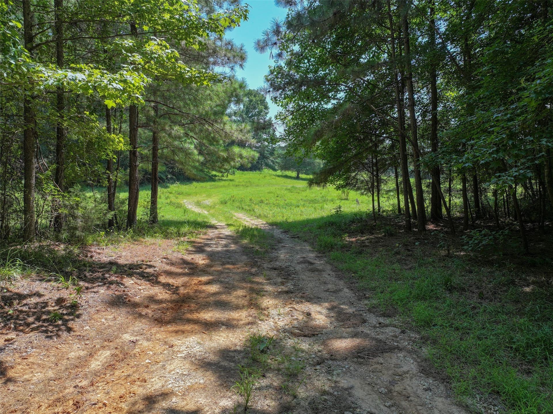 77 acres in Bowie County - photo 18