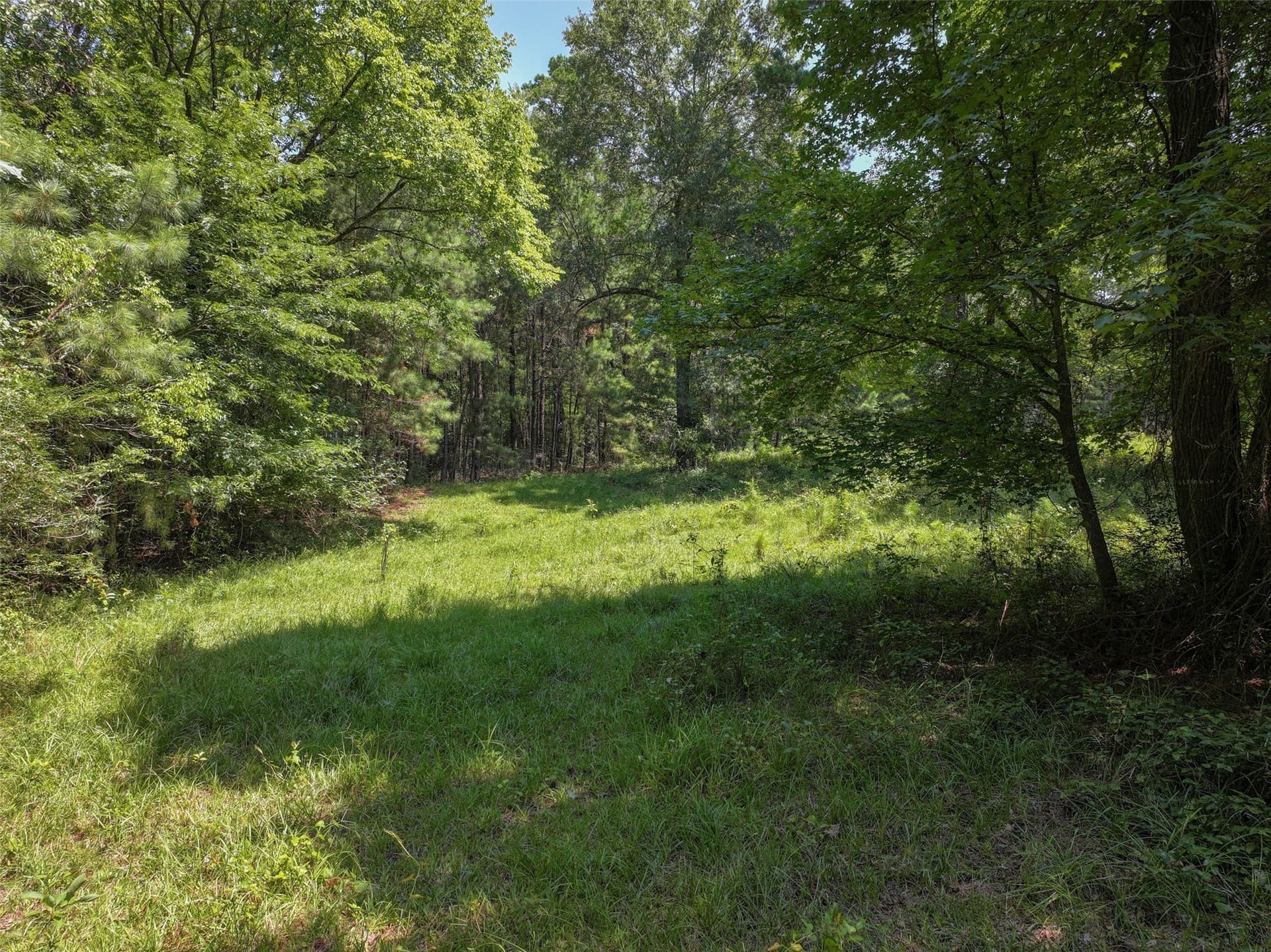 77 acres in Bowie County - photo 10