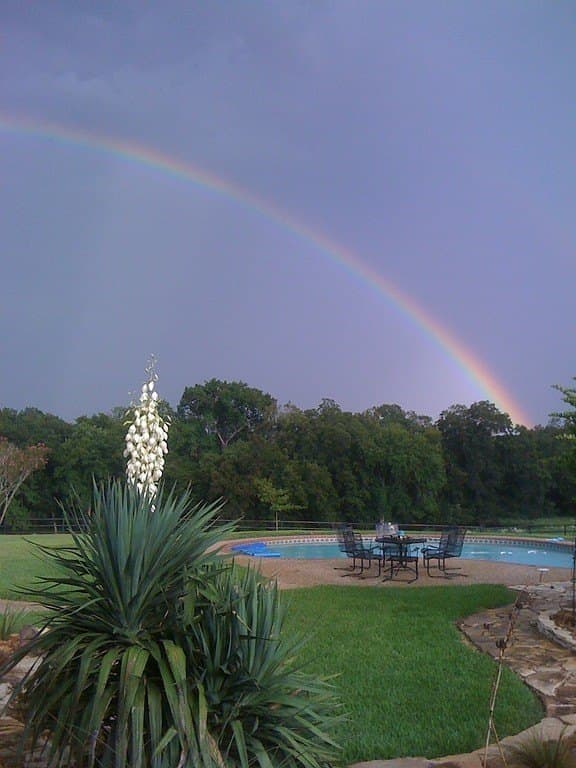 76.8 acres in Austin County gallery image 4