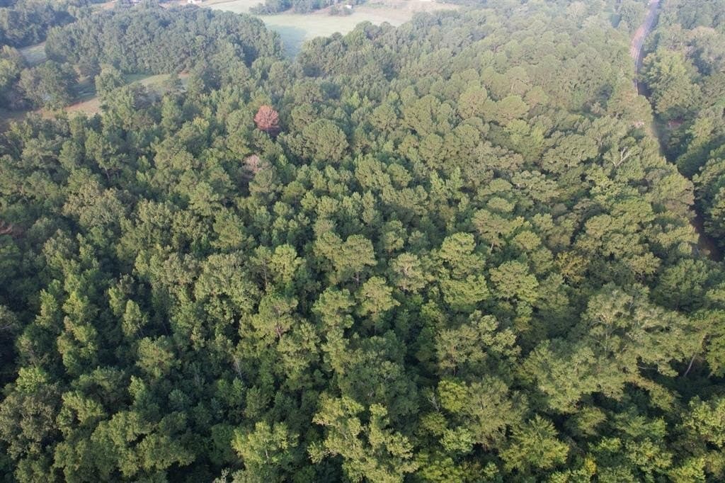 31.55 acres in Rusk County featured view