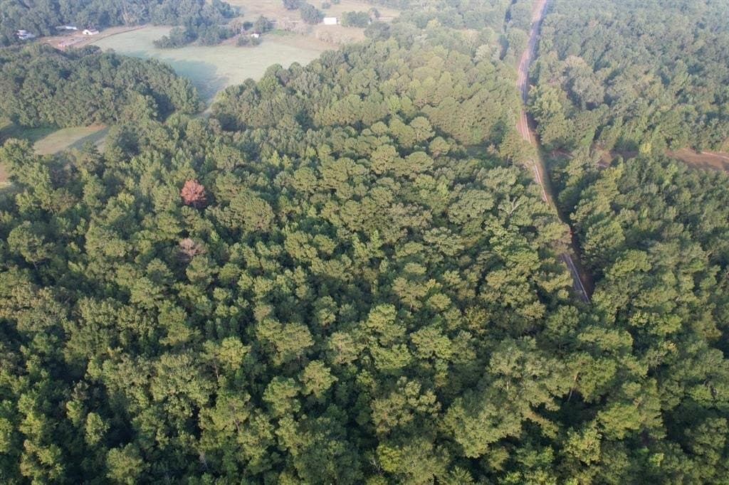 31.55 acres in Rusk County gallery image 4