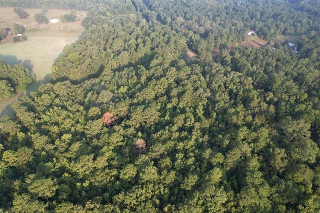 31.55 acres in Rusk County gallery image 3