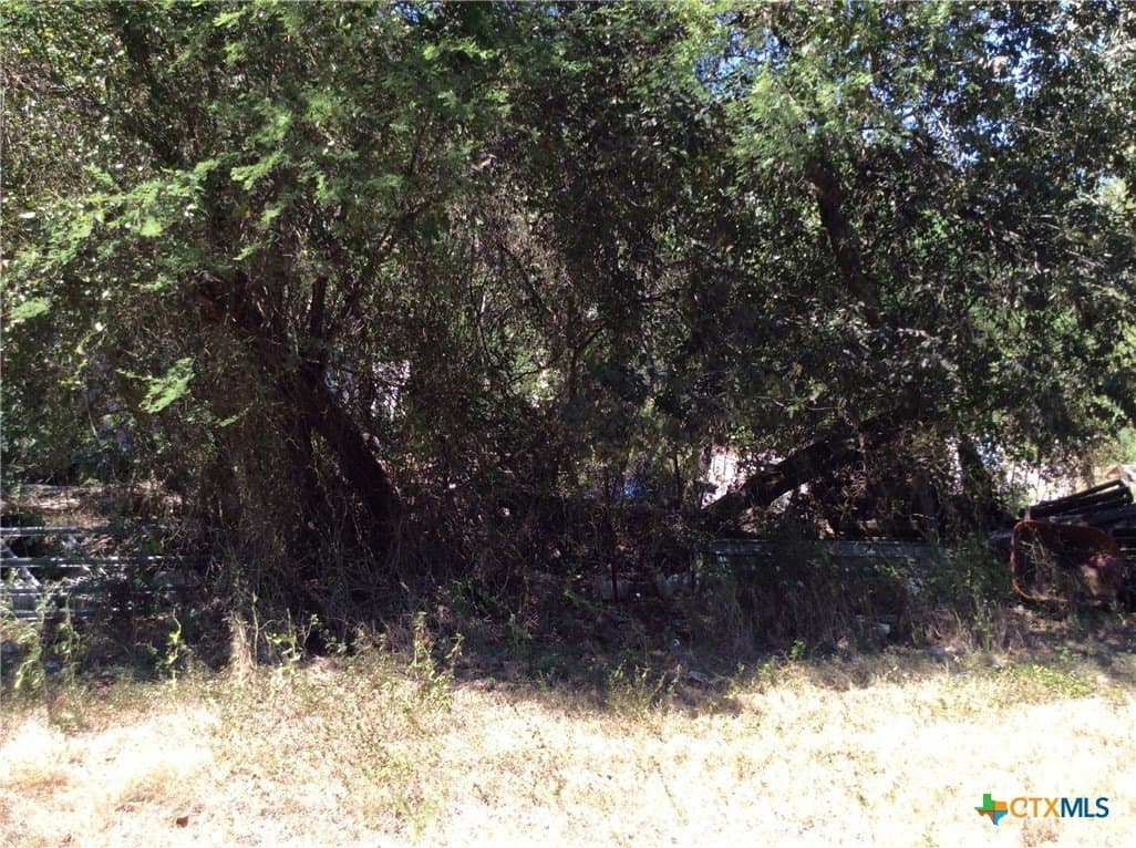 4.64 acres in DeWitt County gallery image 2