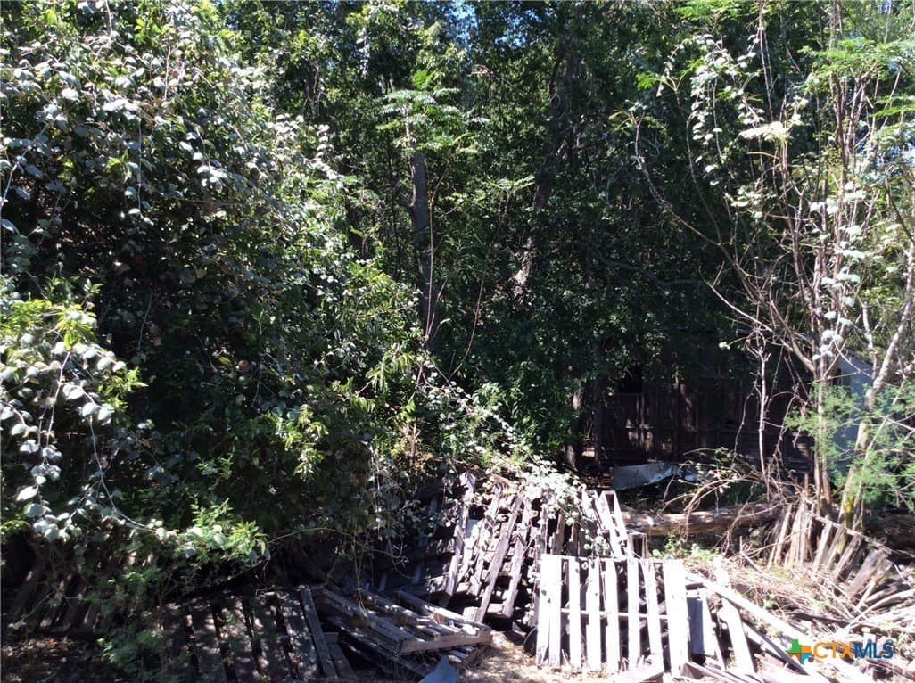 4.64 acres in DeWitt County featured view