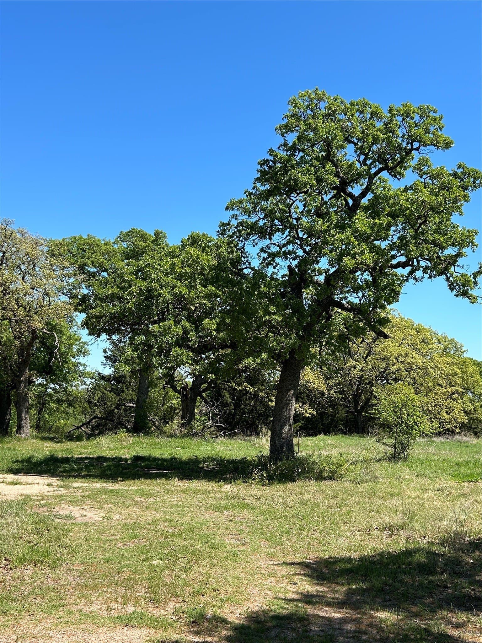 2.03 acres in Montague County - photo 2