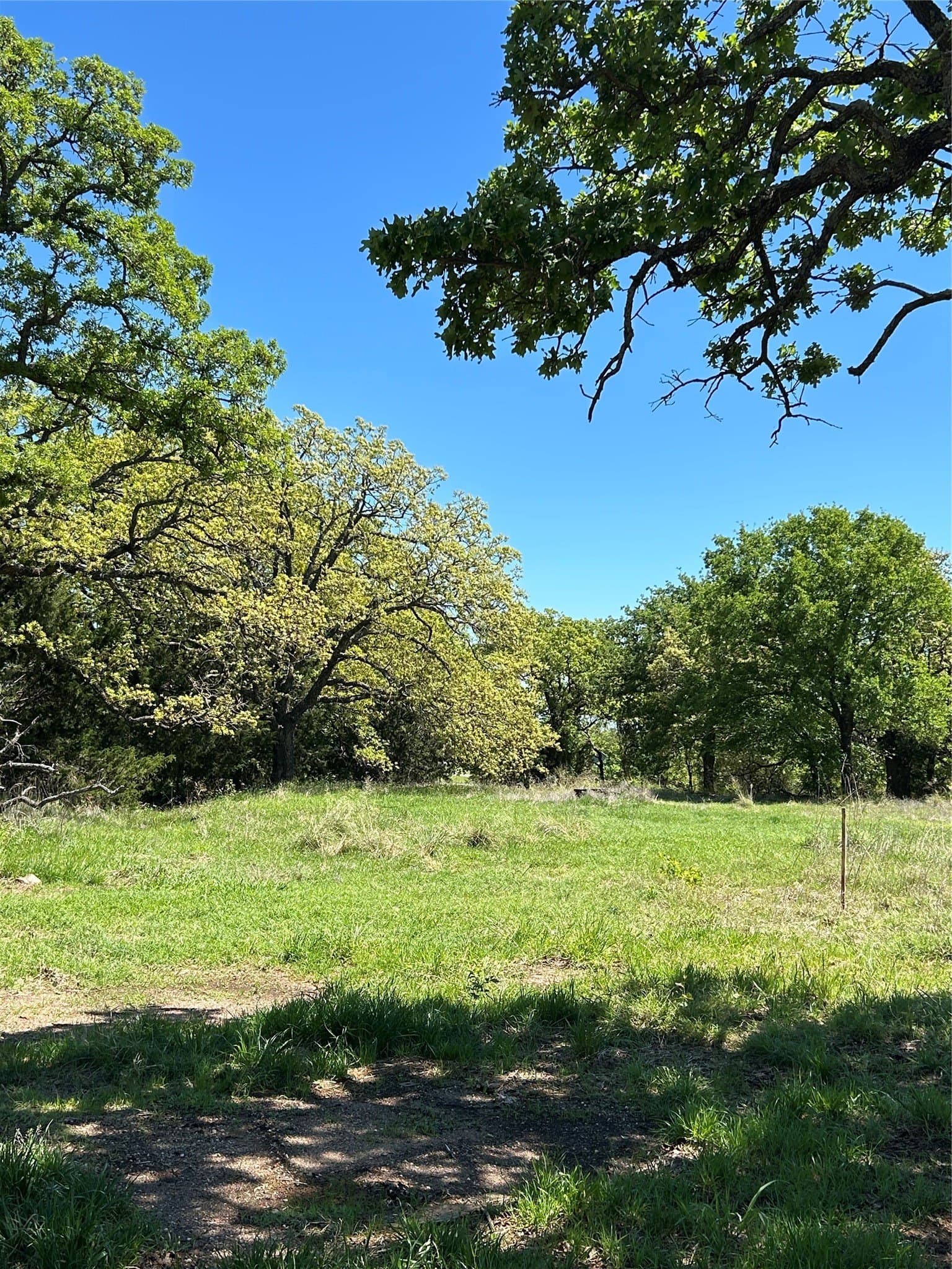 2.03 acres in Montague County - photo 3