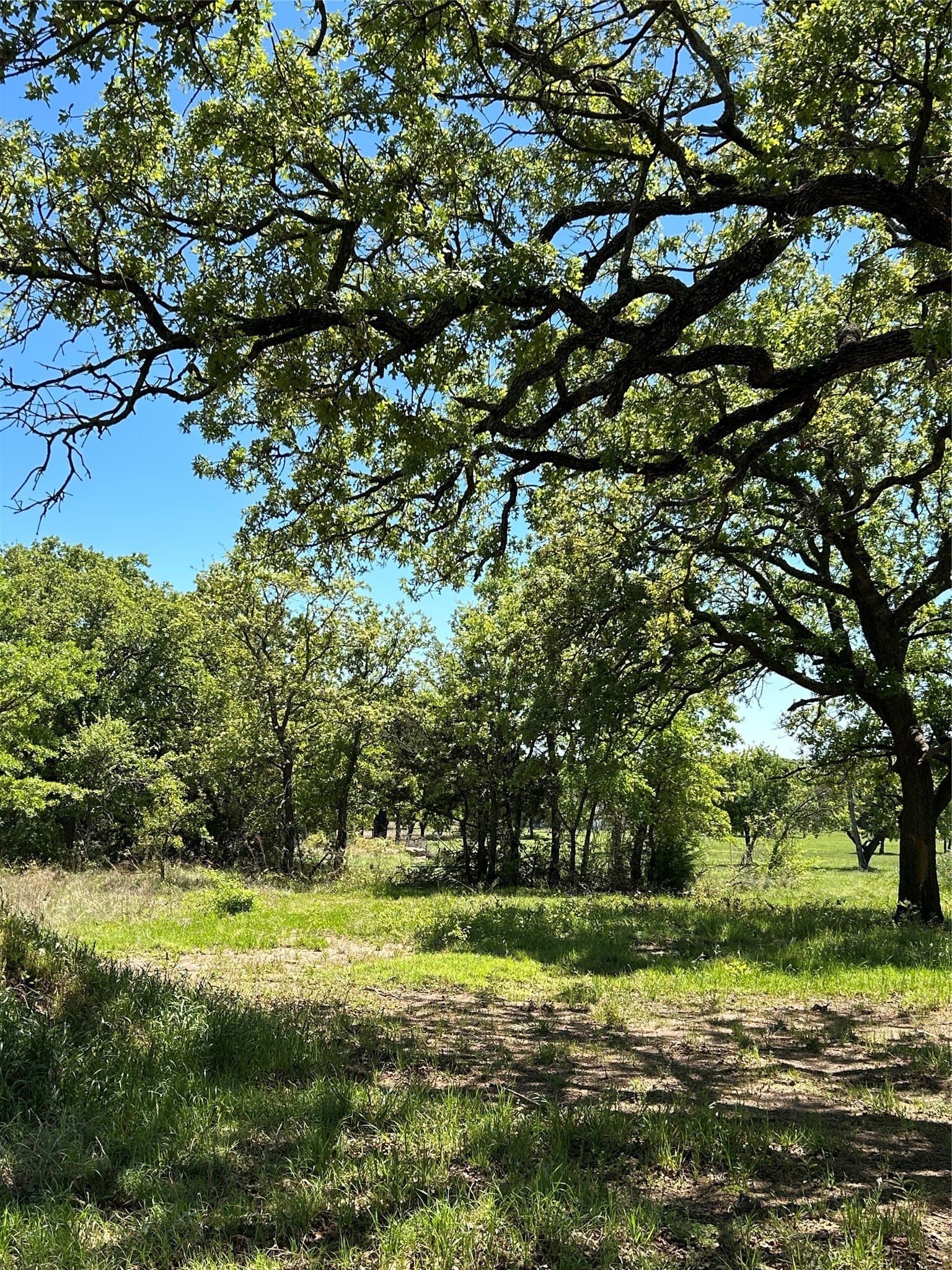 2.03 acres in Montague County
