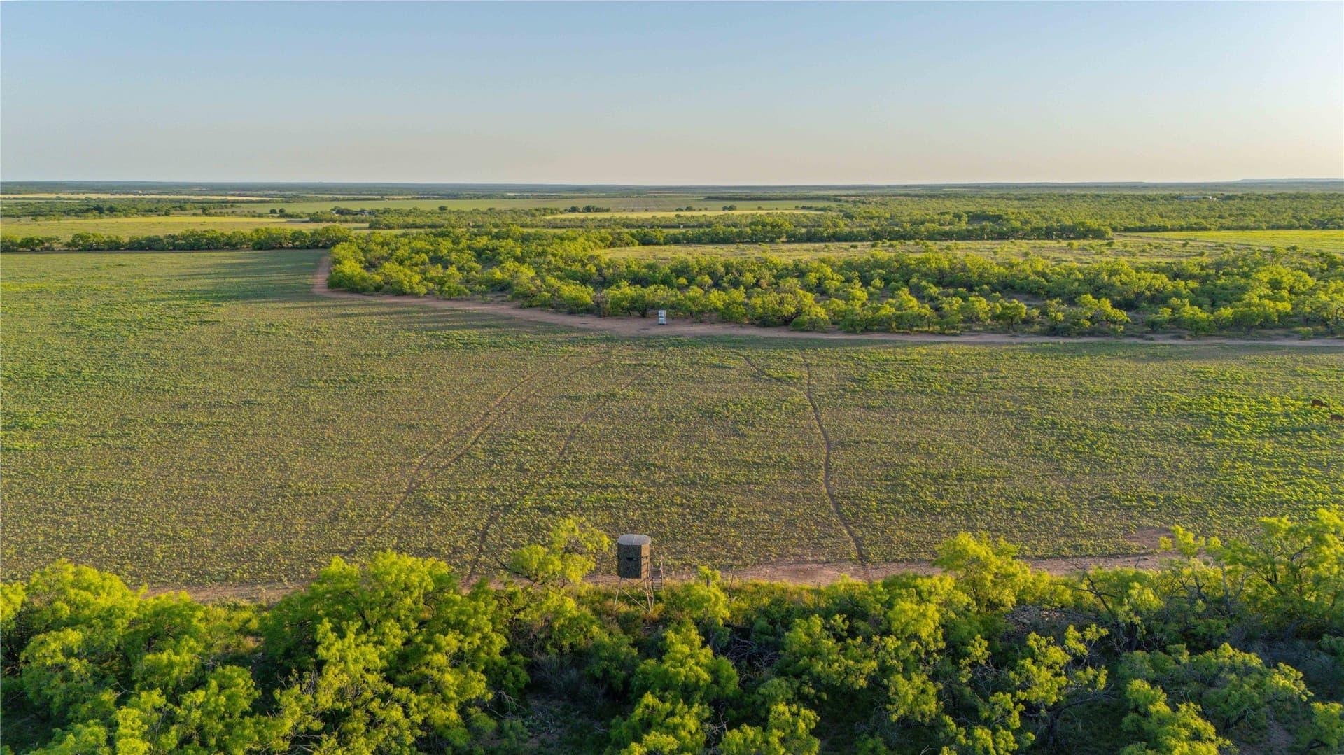 213.3 acres in Coleman County - photo 9