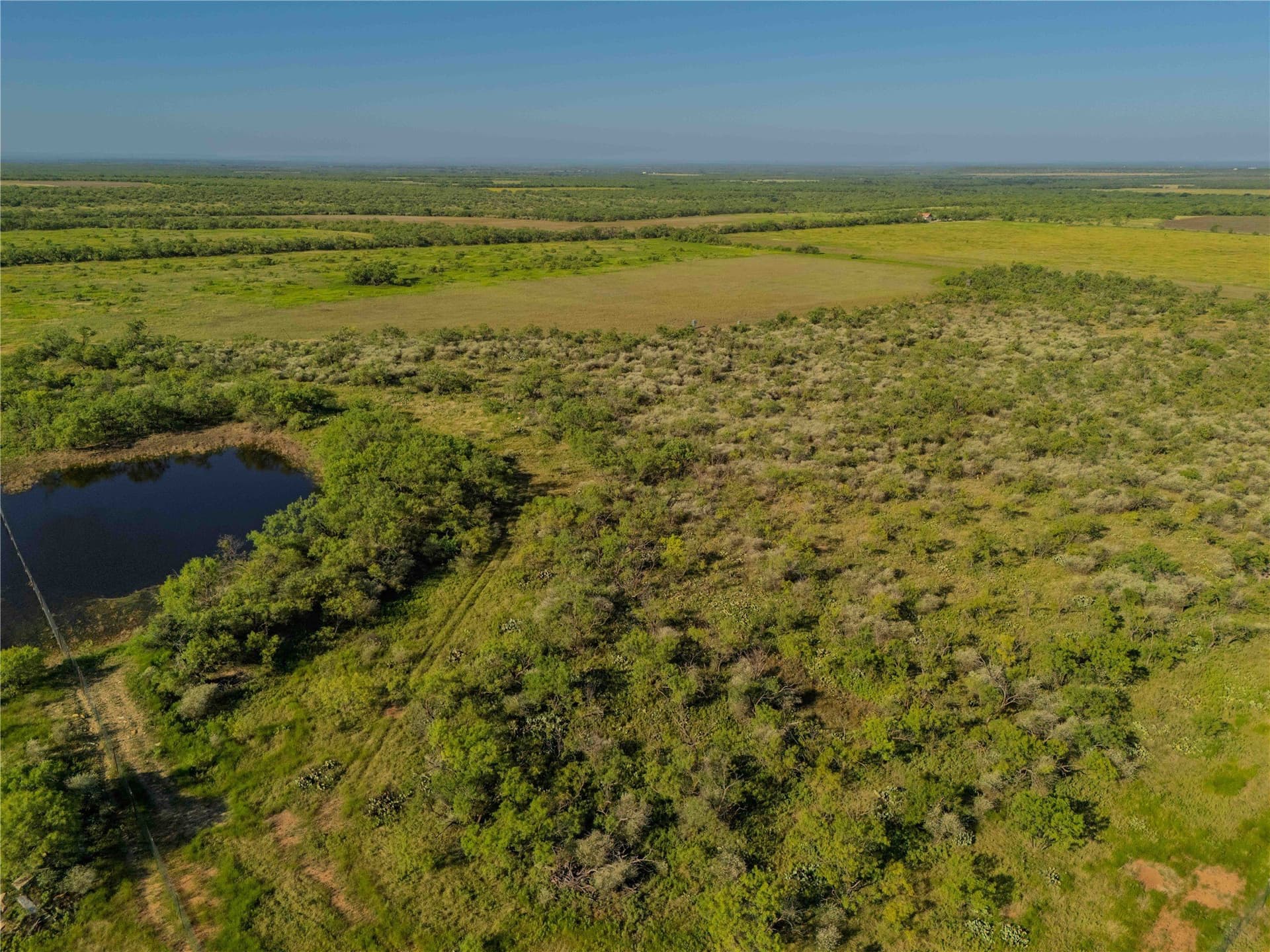 213.3 acres in Coleman County - photo 12