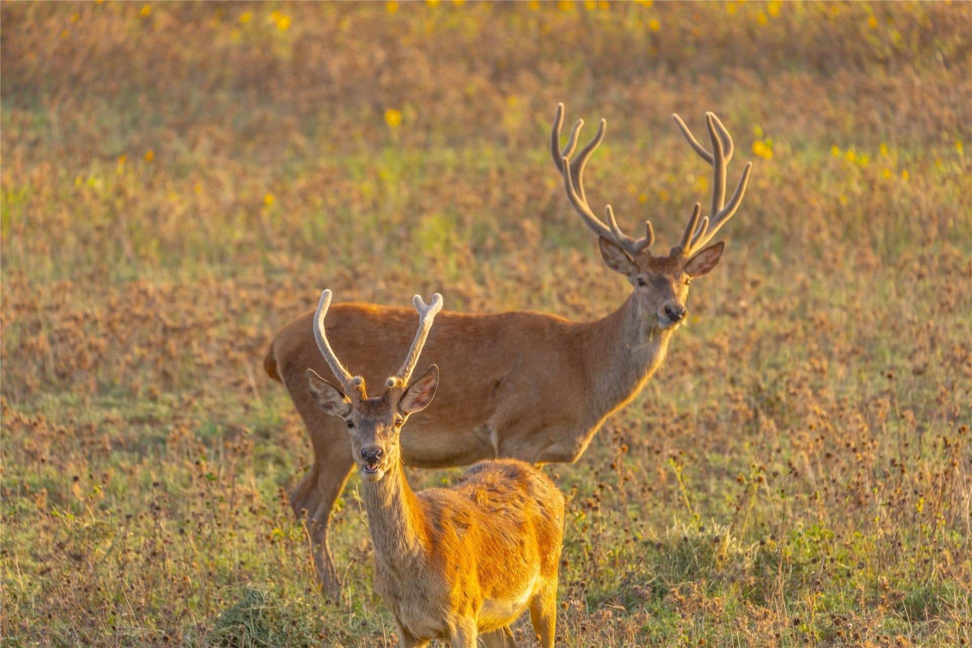 213.3 acres in Coleman County - photo 8