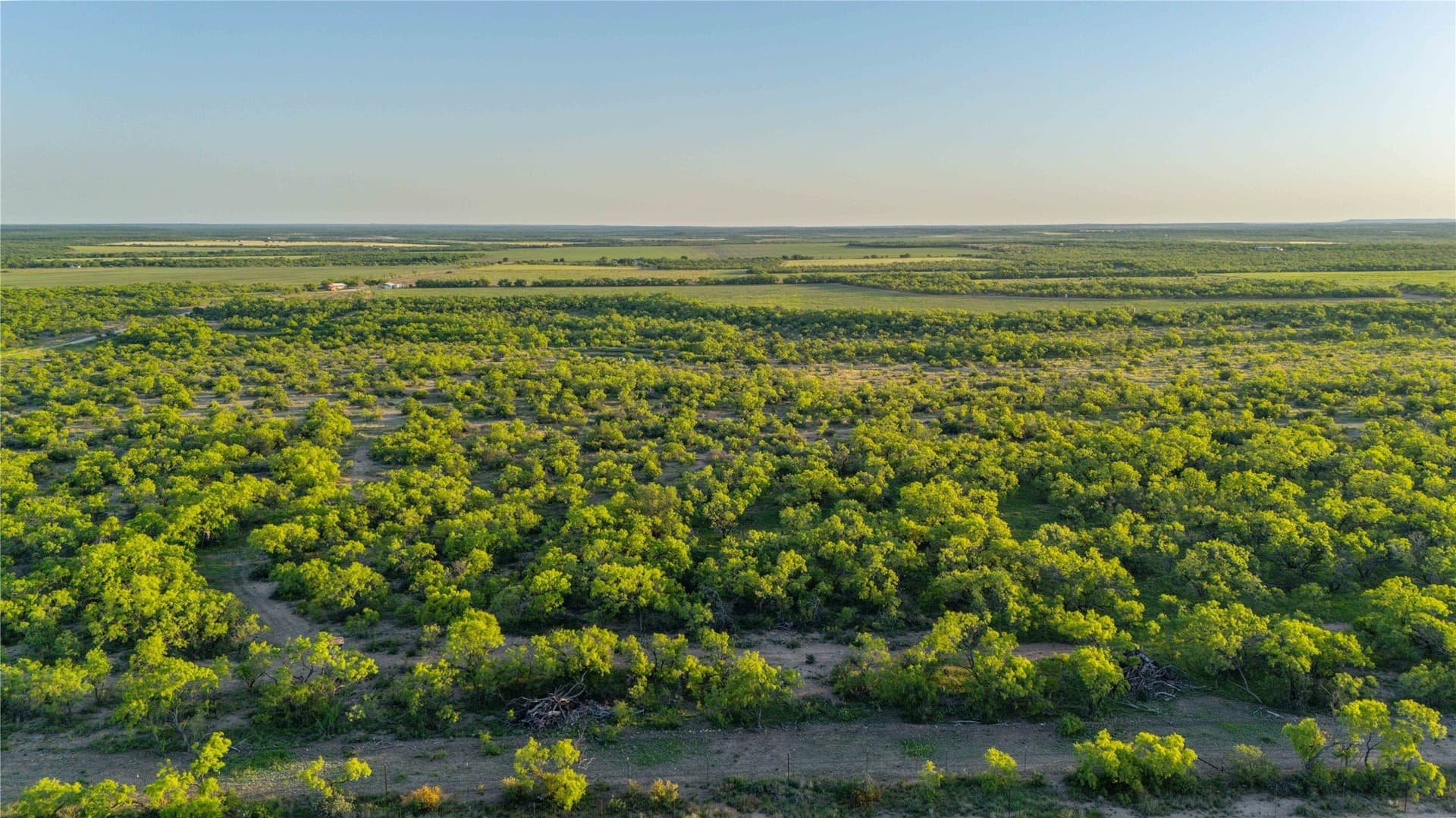 213.3 acres in Coleman County - photo 7