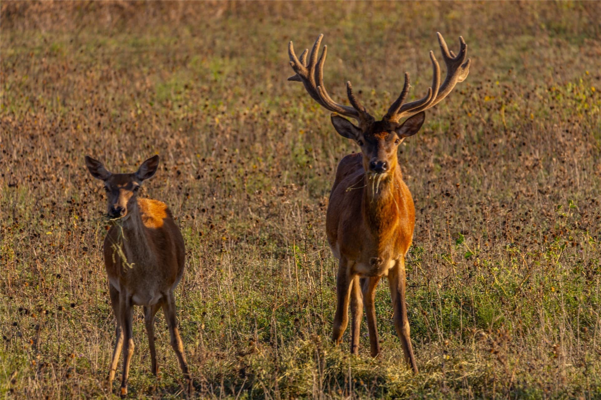 213.3 acres in Coleman County gallery image 3