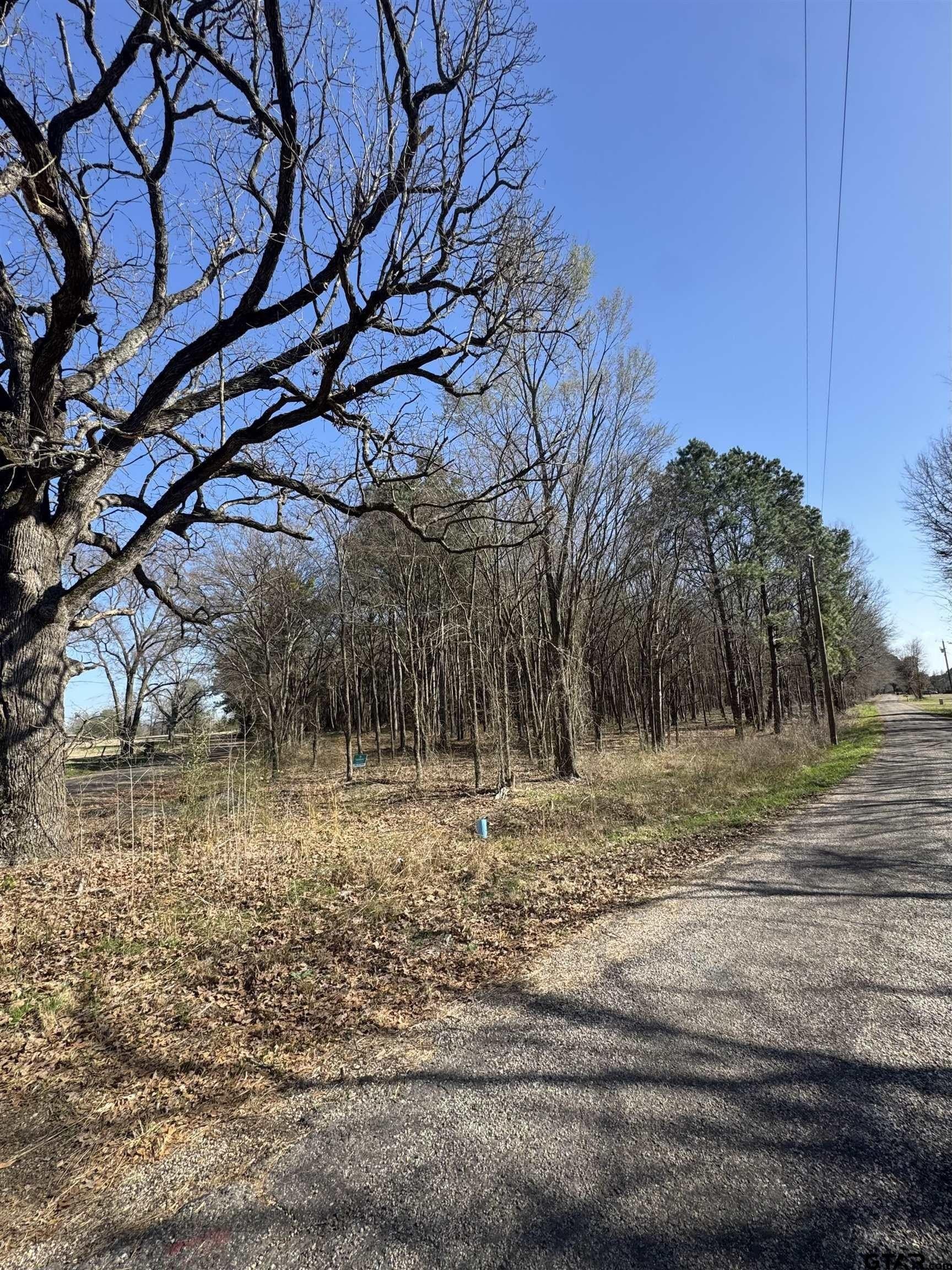 4.16 acres in Camp County gallery image 4