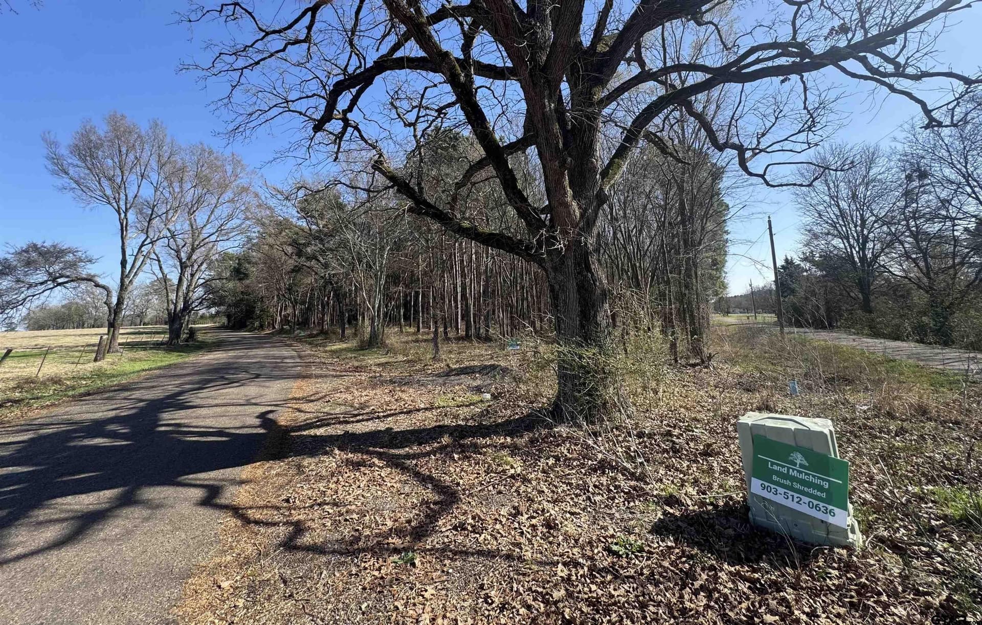 4.16 acres in Camp County gallery image 3