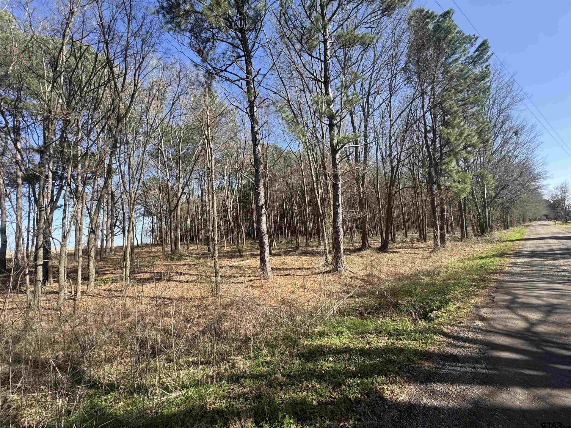 4.16 acres in Camp County