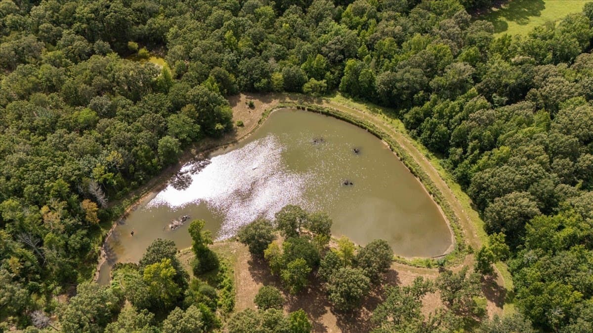 42.71 acres in Van Zandt County - photo 3