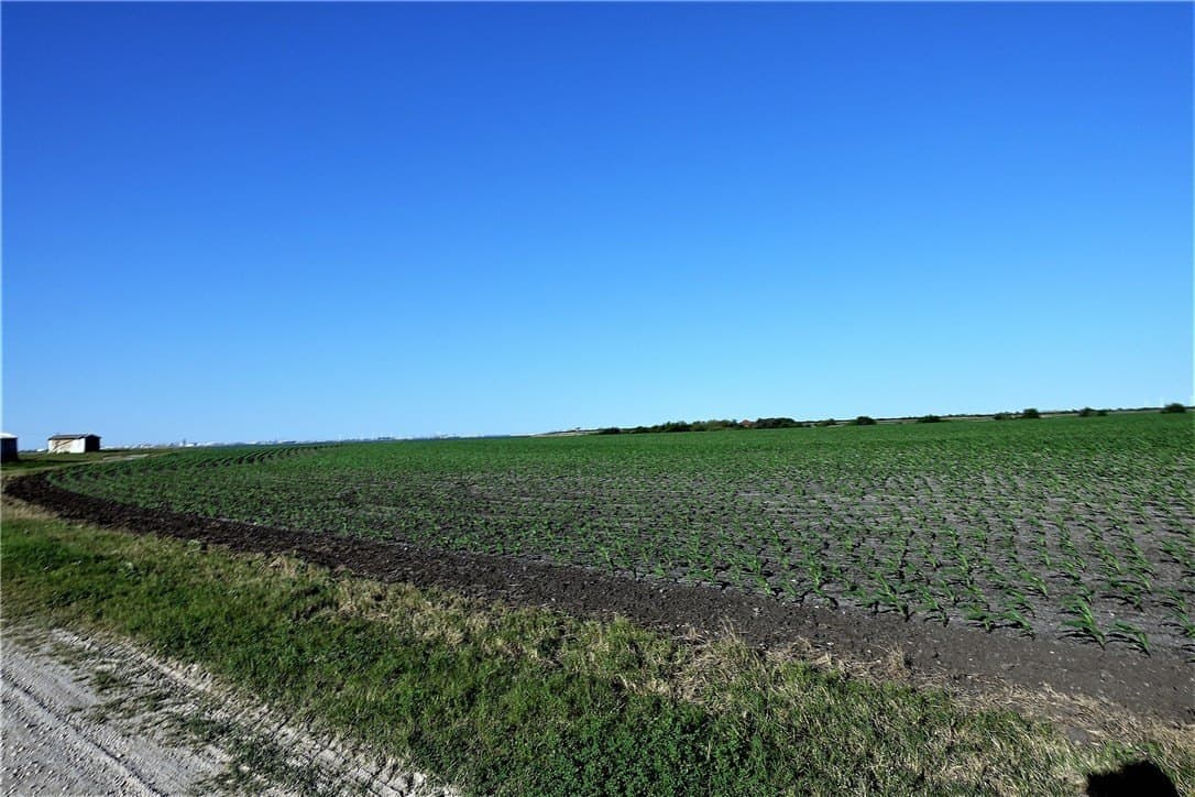 96.17 acres in San Patricio County - photo 18