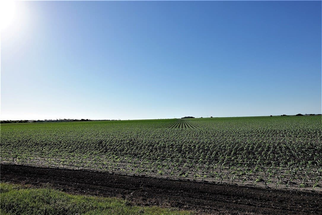 96.17 acres in San Patricio County - photo 10