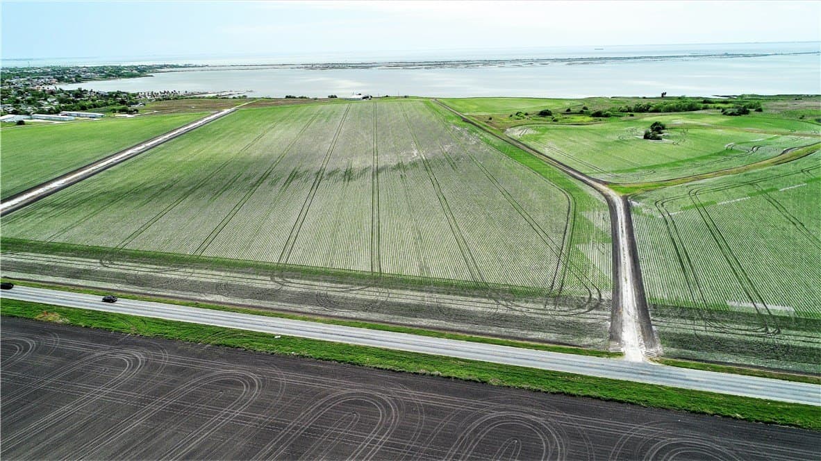 96.17 acres in San Patricio County gallery image 2