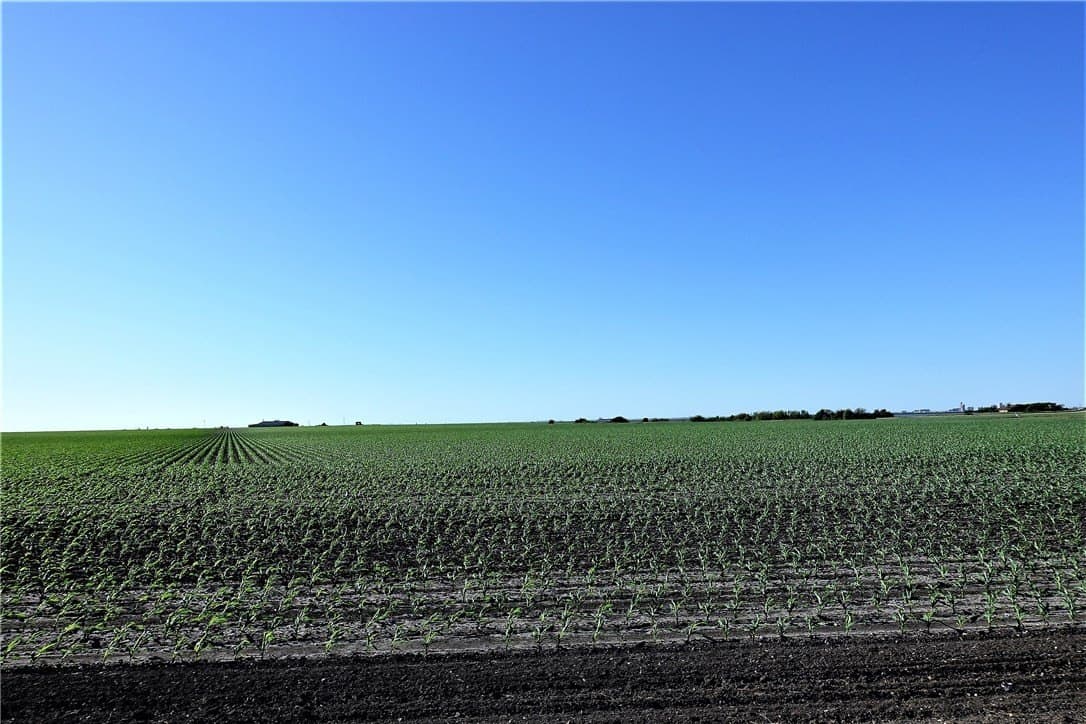 96.17 acres in San Patricio County - photo 14