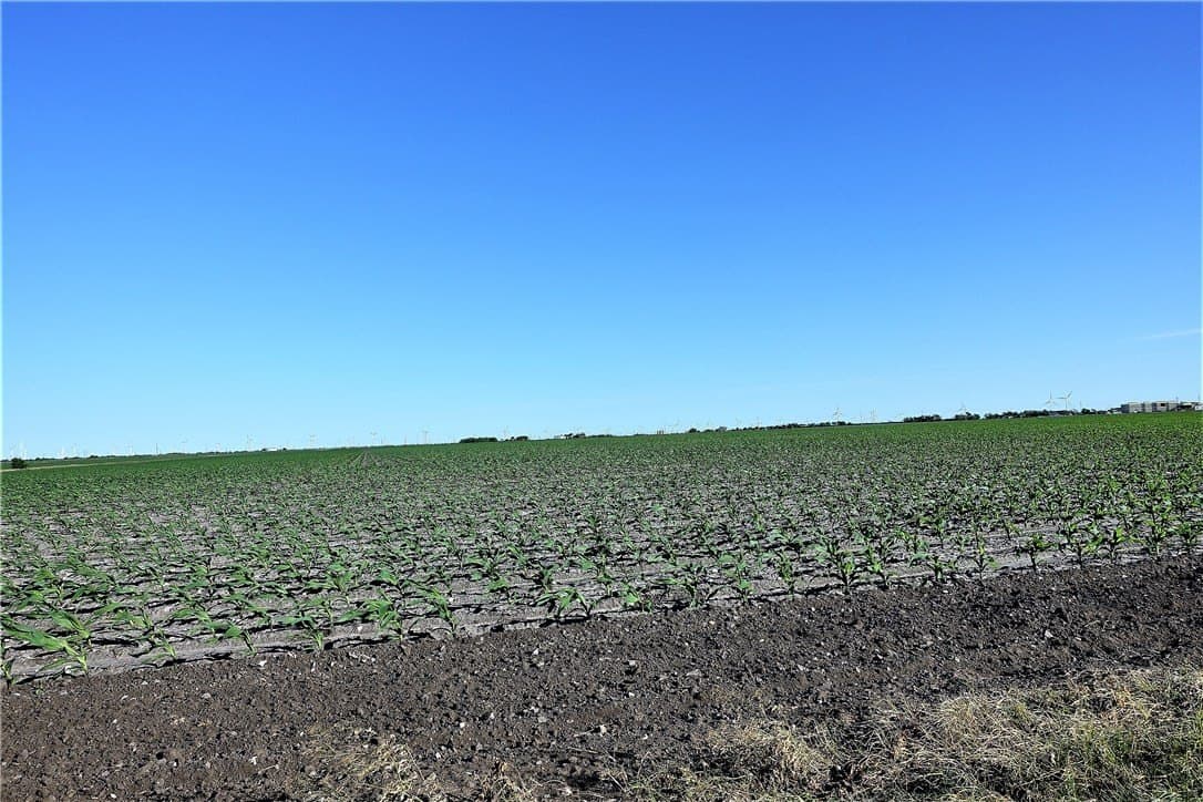96.17 acres in San Patricio County - photo 19