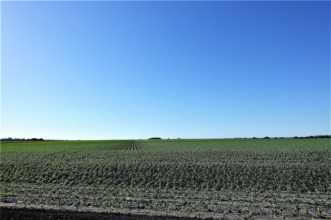 96.17 acres in San Patricio County - photo 11