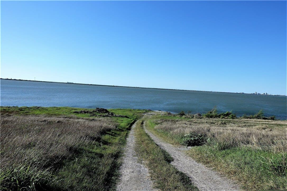 96.17 acres in San Patricio County - photo 13