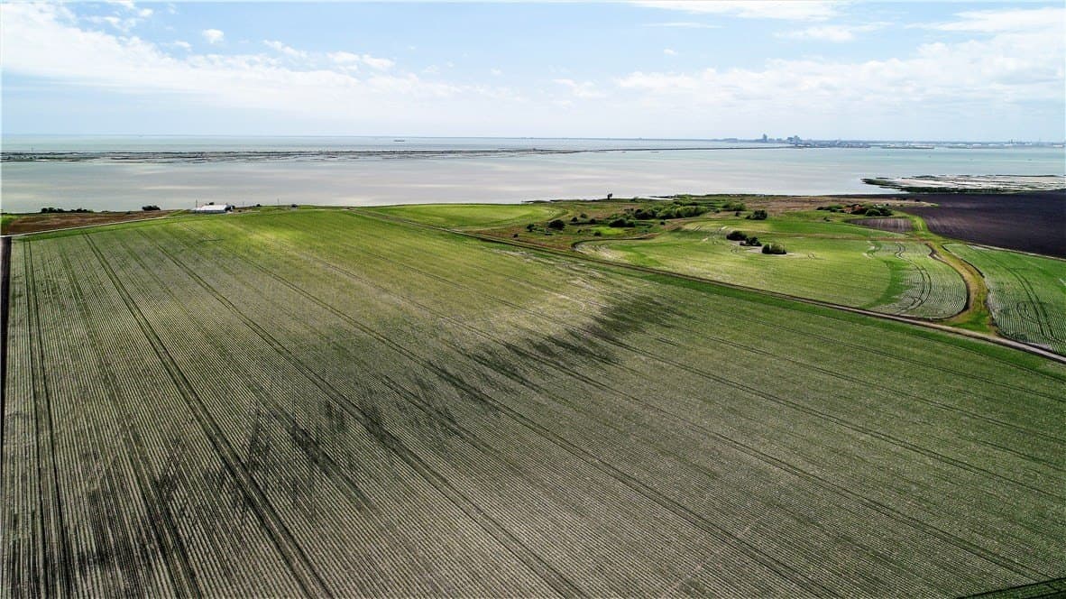 96.17 acres in San Patricio County gallery image 4