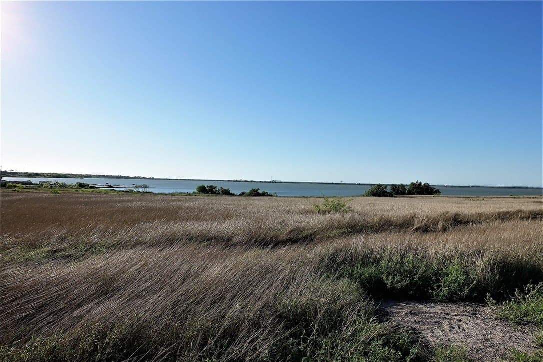 96.17 acres in San Patricio County - photo 12