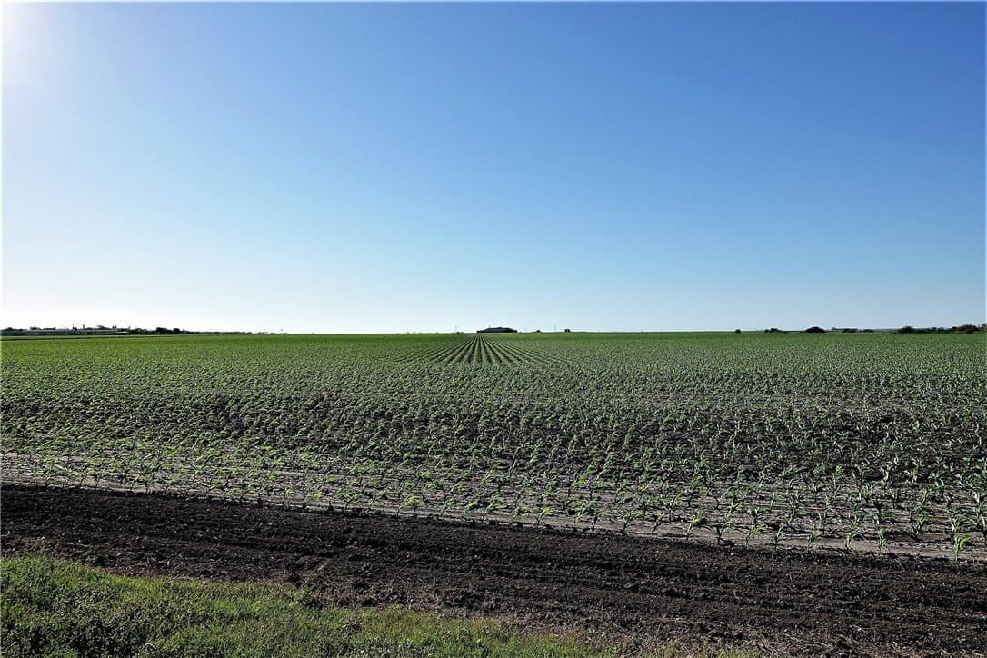 96.17 acres in San Patricio County - photo 20