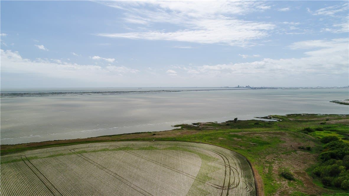 96.17 acres in San Patricio County - photo 29